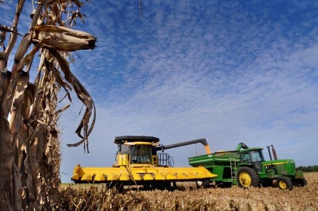 Harvest time